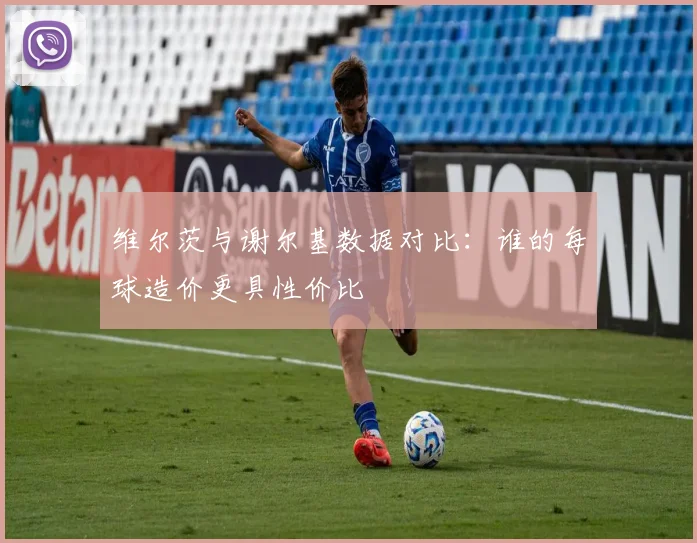 维尔茨与谢尔基数据对比：谁的每球造价更具性价比