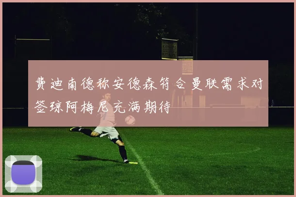 费迪南德称安德森符合曼联需求对签琼阿梅尼充满期待